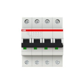 2CDS244701R0104 ABB S204L-C10