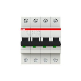 2CDS254001R0104 ABB S204-C10