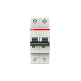 2CDS272001R0404 ABB S202M-C40